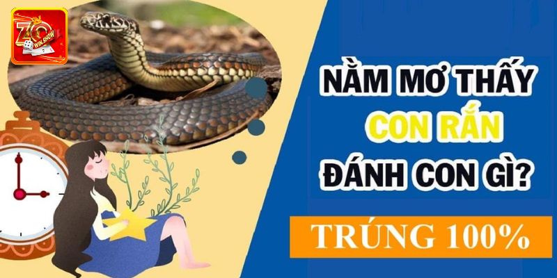 Giải mã giấc mơ thấy rắn và con số phát tài